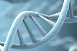 客户管理工具的手机号测压在线